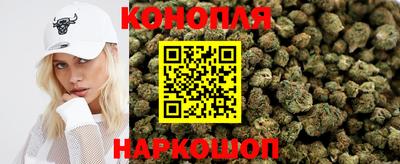 прущие грибы Можга