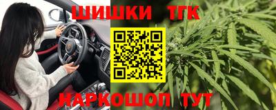 прущие грибы Можга